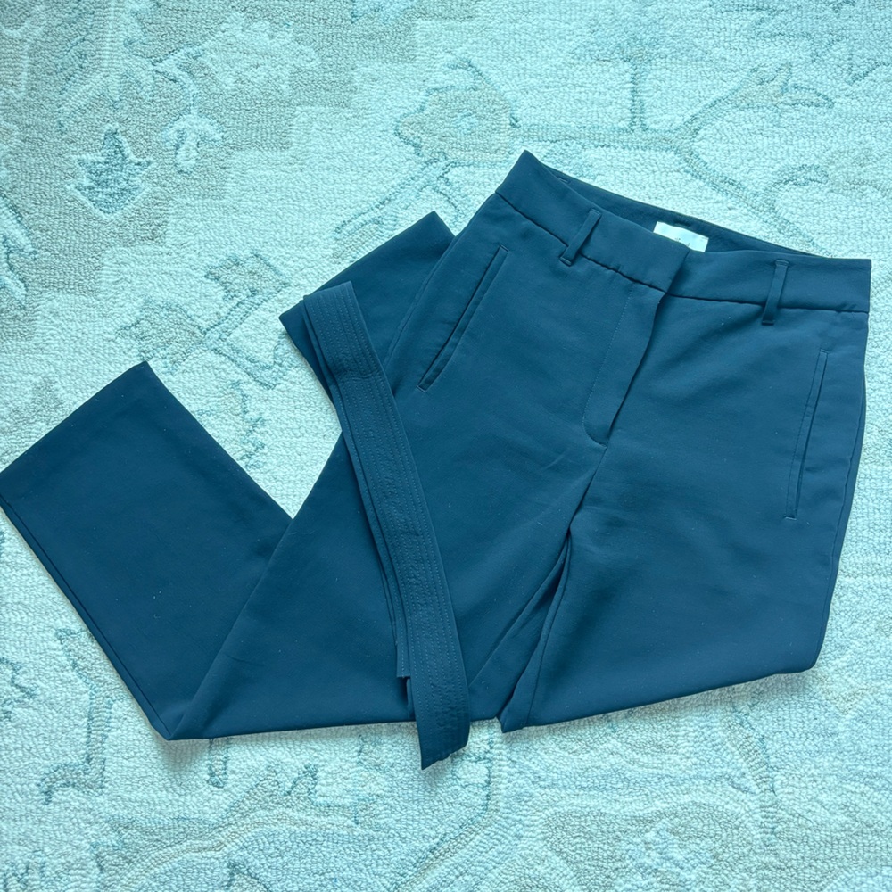 Aritzia Wilfred Pants with Belt